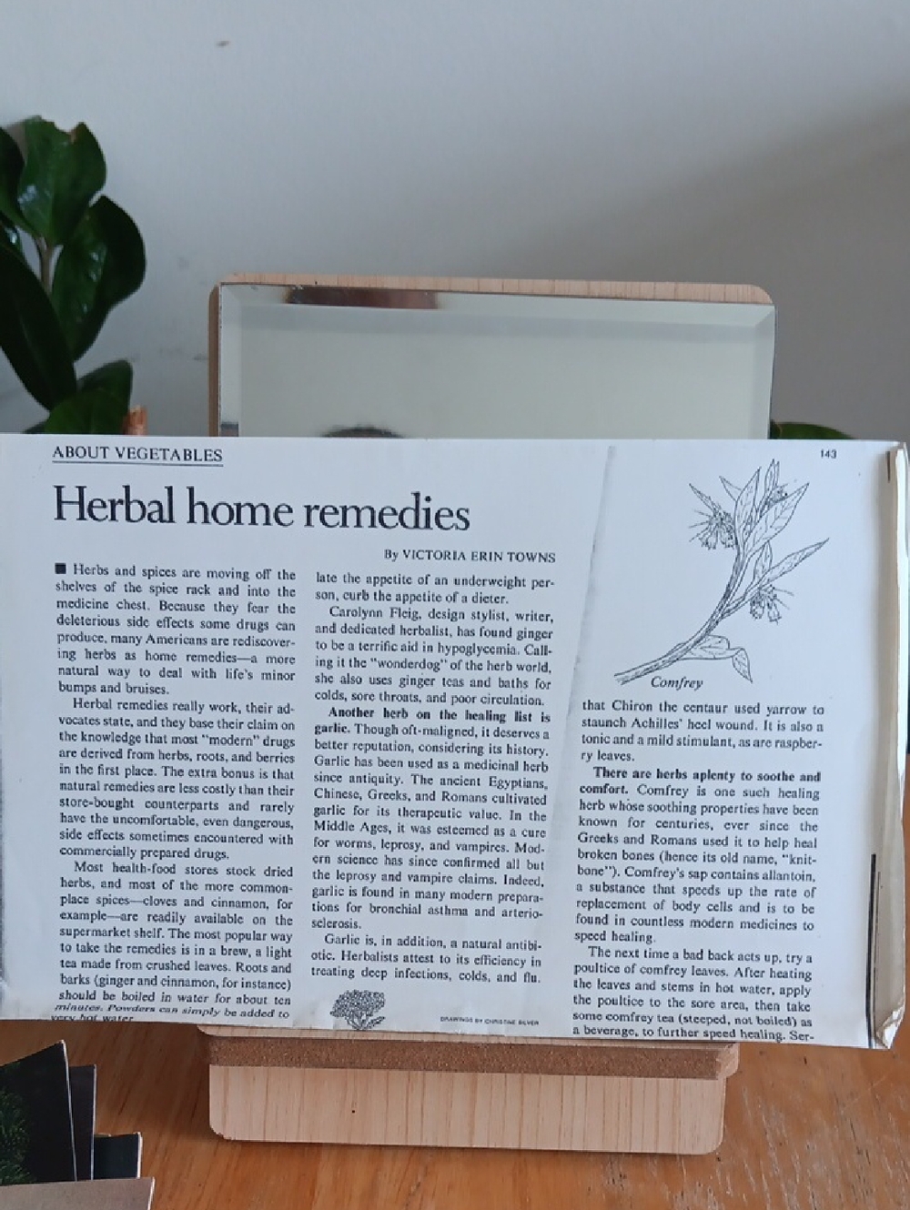 Common Herbs for Common Ailments - Green Paperback Cookbook - Picture 9 of 9